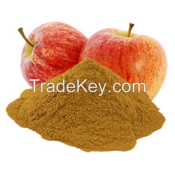 Premium Quality Apple Pomace Fiber Powder for Food & Beverage Industry