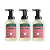 3 Pack Mr  Meyer s Clean Day Foaming Hand Soap, Watermelon 10 Oz