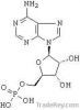 Аденозин 5' - monophosphate