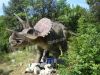 Triceratops Animatronics