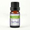 Bergamot Essential Oil - Certified Organic Citrus Bergamia