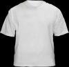 Blank White T-Shirts