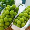High Quality Fresh Export Grape Fresh Seedless Organic Green Grape With Best Price