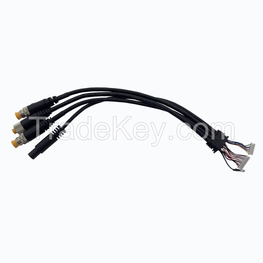 125 Custom Automotive Wiring Harness AF M05 Controller Cable Manufacturers and Suppliers M8 3PIN Male Female Head