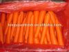 свежая естественная морковь