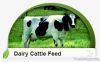 Питание молочных скотов
