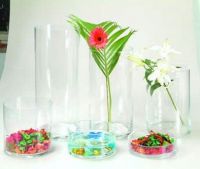 Ясная стеклянная ваза