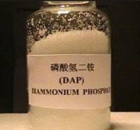 Фосфат диаммония, Dap