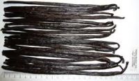 Vanilla Beans For Sale