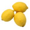 Fresh Fruits Wholesale Best Price Fresh Citrus Fruit Lemon