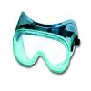 North Plastic Goggles