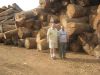 West African Teak Logs