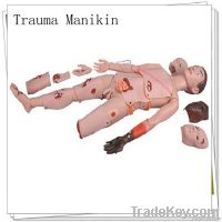 Предварительный медицинский Manikin травма, модель травма
