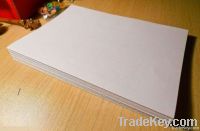 Бумага бумаги экземпляра A4 древесины 80gsm A4