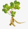 Anthraquinone for sale Ã¢ï¿½ï¿½ ideal for use in industrial and textile applications