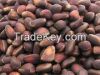 Bulk 100% Cold Pressed Siberian Refined Pine Nut Oil