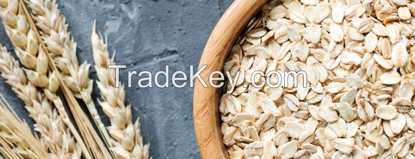 High-Quality Oat Beta-Glucan Fiber Powder Natural Soluble Dietary Fiber for Health & Nutrition
