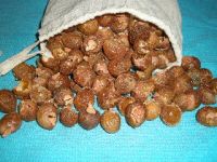 РАКОВИНЫ Soapnuts