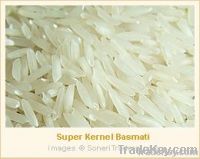 Basmati 최고 알갱이