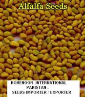 Семена альфальфы (Люцерн, люцерна Sativa), семена Sesbania