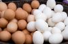 Fresh Chicken Eggs (White & Brown)