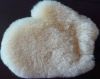 sheepskin auto wash mitten