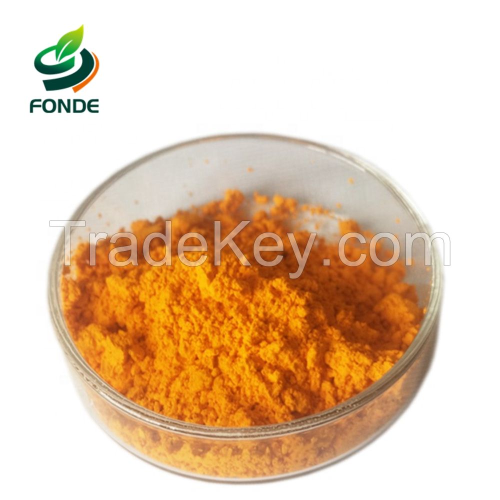 Factory Wholesale Price Root Extract Curcumin 95% Turmeric Extract