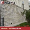 Newstar 버섯 슬레이트 벽 도와