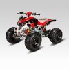 ATV (50cc--125cc)