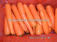 свежая длинняя морковь формы