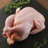 Excellent Price Hard Frozen Chicken wings, PREMIUM GRADE A+ FROZEN CHICKEN LEG QUARTER FOR SALE, Fresh Frozen Chicken Thighs and Breast