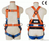 FULL BODY SAFETY HARNESS