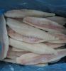 Good Quality Frozen Pollock 