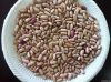 light speckled kidney beans, pinto beans, cranberry beans