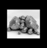 Small Scale Gold Lead Zinc Ore Concentrate 99.99%