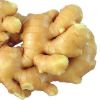 100% Pure Fresh Organic Ginger