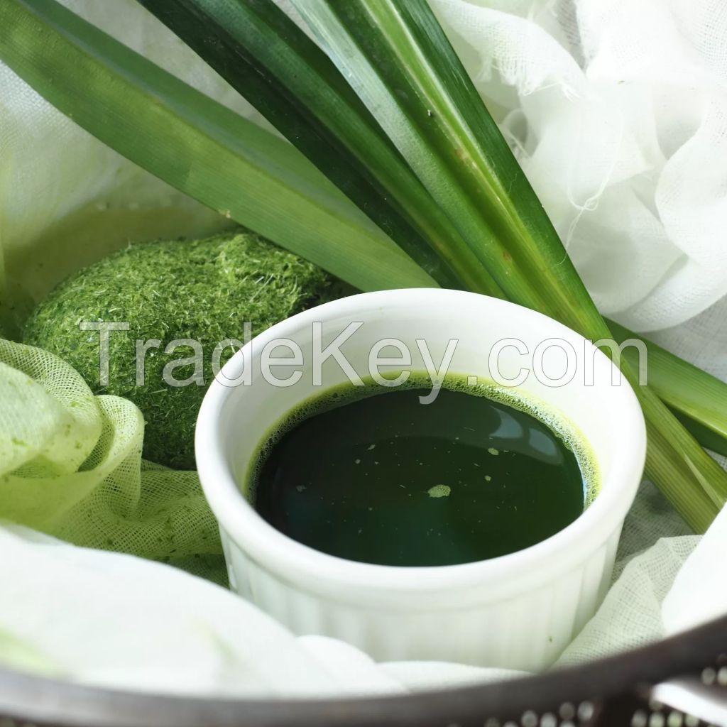 PURE FROZEN PANDAN JUICE / HIGH AROMA / FOOD GRADE / BULK PACKAGING FOR GLOBAL EXPORT MARKET