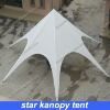 шатер звезды kanopy для напольной партии в экономичном цене
