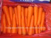 свежее малое начало китайца моркови
