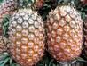 Тропический плодоовощ - ананас
