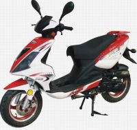 Eec 50cc 스쿠터...