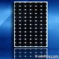 태양 에너지 체계를 위한 300w Monocrystalline 태양 전지판