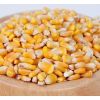 PURE Quality Yellow Corn/Maize for Animal Feed/YELLOW CORN for POULTRY FEED Wholesale High Manufacturer Material With Cheap Rate