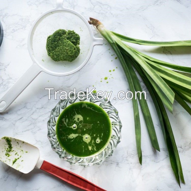 NATURAL FROZEN PANDAN JUICE / PREMIUM AROMATIC LEAF EXTRACT / READY TO COOK OR BEVERAGE USE