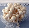 Свежий белый гриб Shimeji