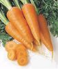 пюре моркови