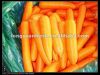 органическая красная морковь