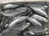 Замороженные рыбы тилапии