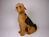 Terrier Airedale