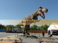 Масленица спортивной площадки парка атракционов Rex Tyrannosaurus